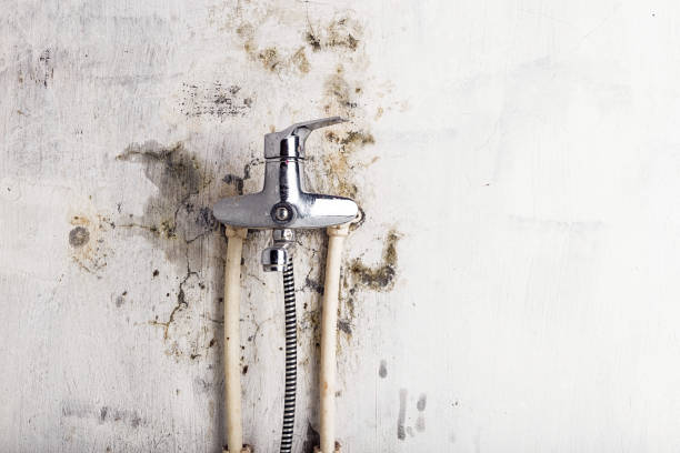 Best Water Damage Restoration  in Chicago Heights, IL