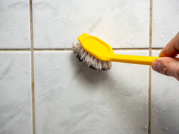 Best Residential Mold Removal  in Chicago Heights, IL