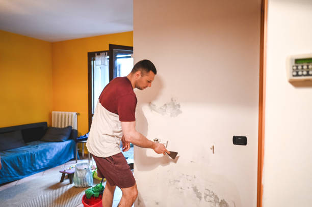 Best Emergency Mold Removal  in Chicago Heights, IL